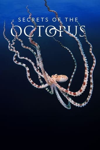 دانلود سریال Secrets of the Octopus 2024