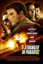 دانلود فیلم A Stranger in Paradise 2013 (یک غریبه در بهشت)