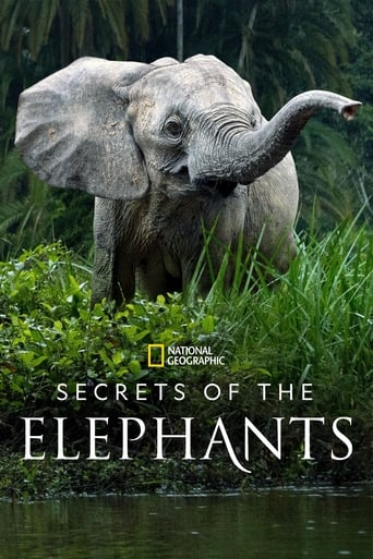 Secrets of the Elephants 2023