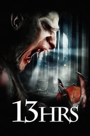 13Hrs 2010