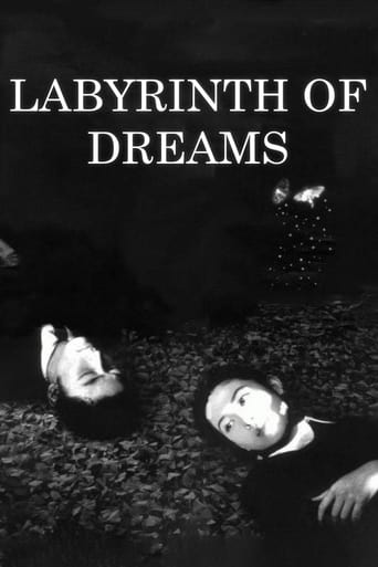 دانلود فیلم Labyrinth of Dreams 1997