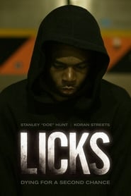 Licks 2013 (زبانه ها)