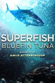 دانلود فیلم Superfish: Bluefin Tuna 2012