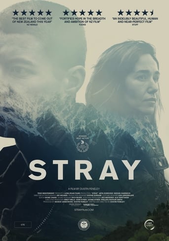 Stray 2018