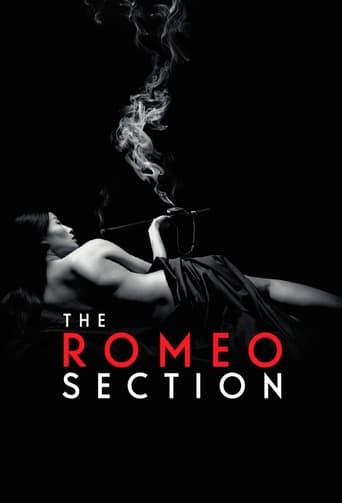 دانلود سریال The Romeo Section 2015 (بخش رومئو)