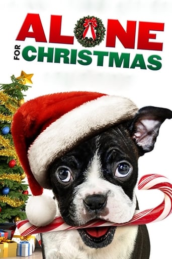 دانلود فیلم Alone for Christmas 2013