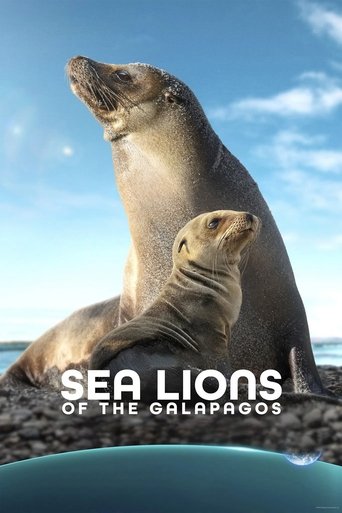 دانلود فیلم Sea Lions of the Galapagos 2025