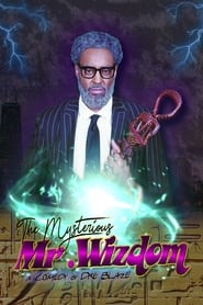 دانلود فیلم The Mysterious Mr. Wizdom 2020 (آقای ویزدوم مرموز)