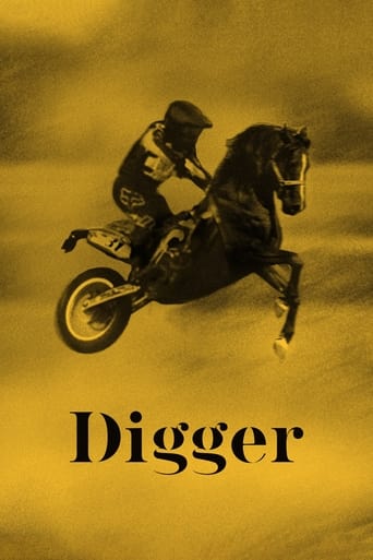 Digger 2020