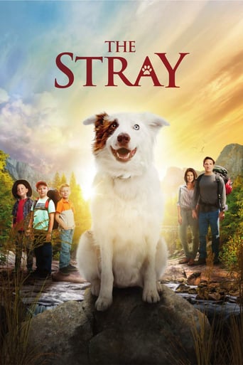 دانلود فیلم The Stray 2017 (ولگردی)