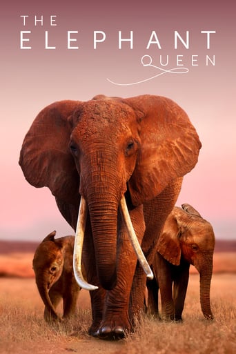 دانلود فیلم The Elephant Queen 2018 (فیل ملکه)