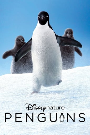 دانلود فیلم Penguins 2019