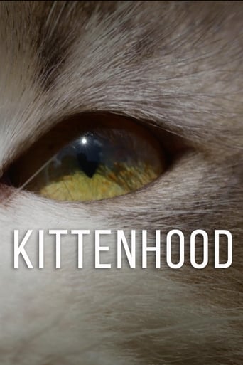 دانلود فیلم Kittenhood 2015