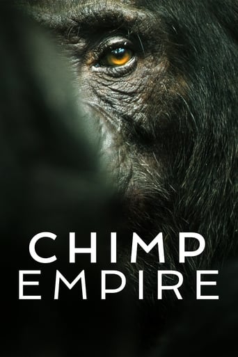 Chimp Empire 2023