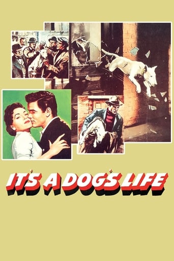 دانلود فیلم It's a Dog's Life 1955