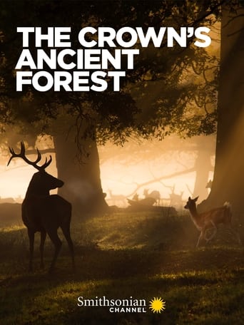 The Crown's Ancient Forest 2021