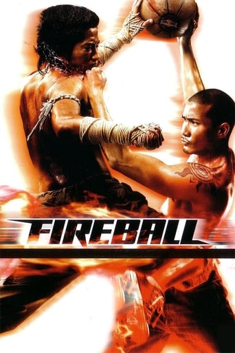 Fireball 2009