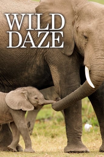 دانلود فیلم Wild Daze 2020