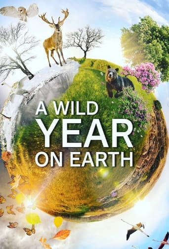 دانلود سریال A Wild Year On Earth 2020