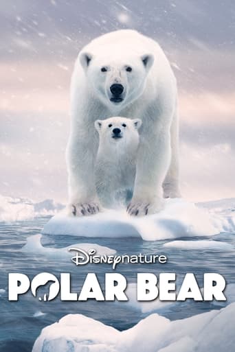 دانلود فیلم Polar Bear 2022 (خرس قطبی)