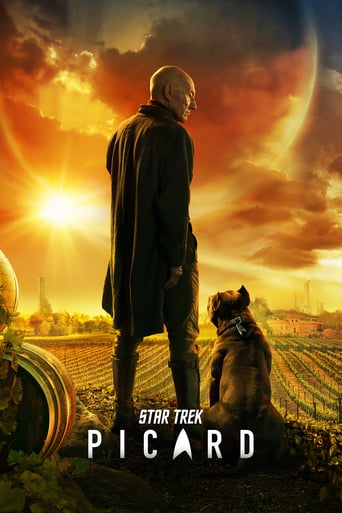 دانلود سریال Star Trek: Picard 2020 (پیشتازان فضا: پیکارد) دوبله فارسی بدون سانسور