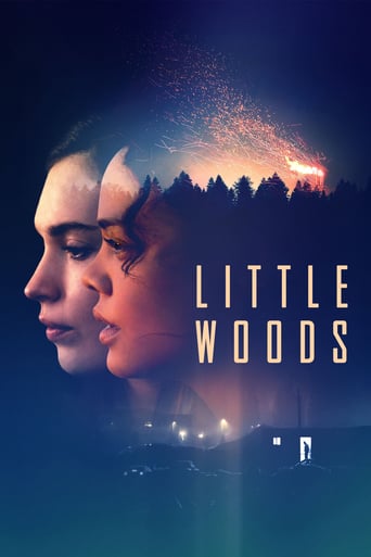 دانلود فیلم Little Woods 2018 (جنگل کوچک)