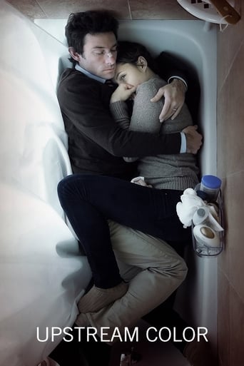 Upstream Color 2013 (رنگ سرچشمه)