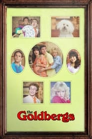 The Goldbergs 2013 (گلدبرگ ها)