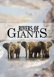 Rivers of Giants 2005