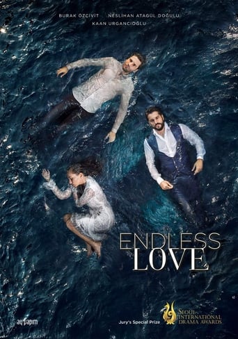 دانلود سریال Endless Love 2015 (اُکیا)