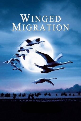 دانلود فیلم Winged Migration 2001