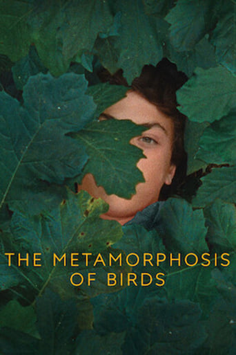 دانلود فیلم The Metamorphosis of Birds 2020 (تغییر پرندگان)