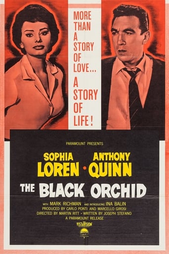 دانلود فیلم The Black Orchid 1958