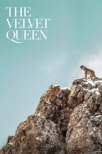 دانلود فیلم The Velvet Queen 2021 (ملکه مخملی)