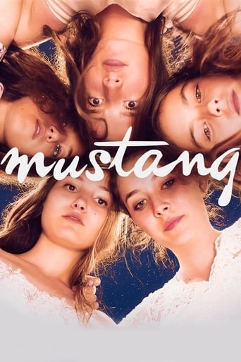 دانلود فیلم Mustang 2015 (اسب وحشی)