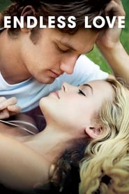 Endless Love 2014