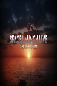 دانلود فیلم Space Launch Live: Splashdown 2020
