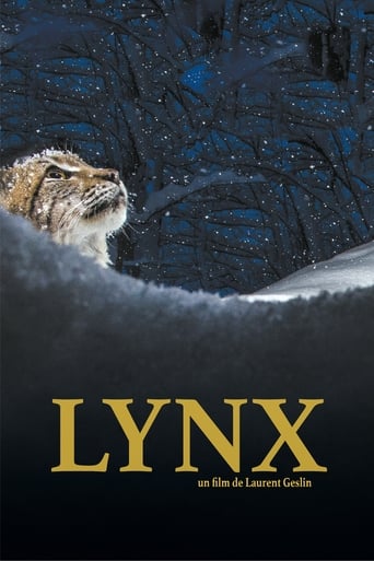 Lynx 2021 (سیاهگوش)