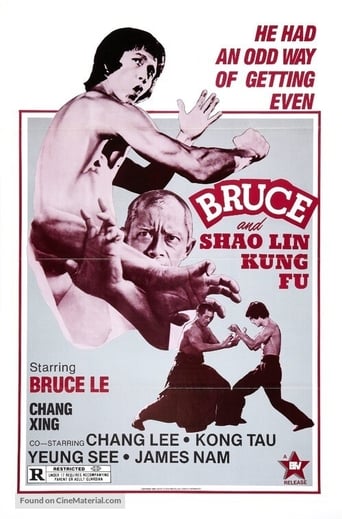 دانلود فیلم Bruce and Shaolin Kung Fu 1977