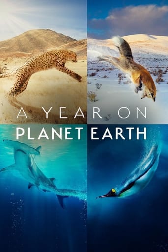 دانلود سریال A Year on Planet Earth 2022 دوبله فارسی بدون سانسور